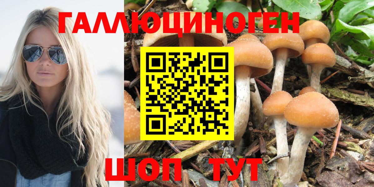 как найти закладки  Галлюциногенные грибы Psilocybine cubensis  Вход с VPN  Лосино-Петровский 